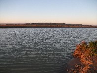 Oasi del Simeto